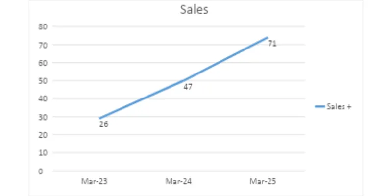 Income Statement Analysis